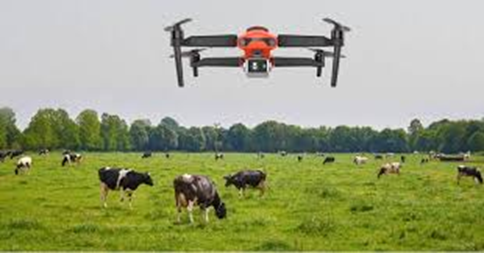 Livestock Monitoring using Drones