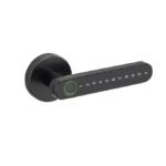 Dummy Systems FPHL-900 Smart Door Lock